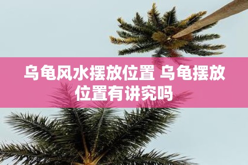 乌龟风水摆放位置 乌龟摆放位置有讲究吗
