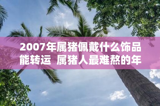 2007年属猪佩戴什么饰品能转运 属猪人最难熬的年龄