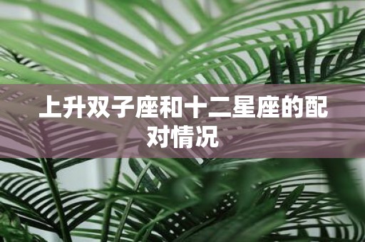 上升双子座和十二星座的配对情况
