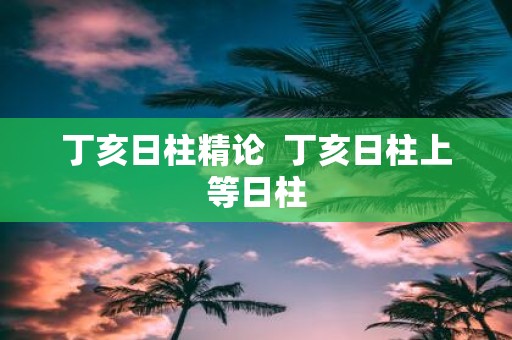 丁亥日柱精论 丁亥日柱上等日柱