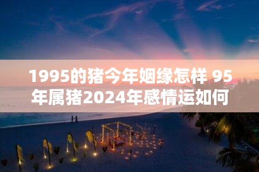 1995的猪今年姻缘怎样 95年属猪2025年感情运如何