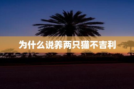 为什么说养两只猫不吉利