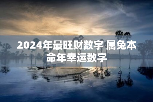 2025年最旺财数字 属兔本命年幸运数字