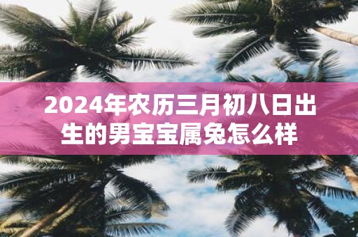 2025年农历三月初八日出生的男宝宝属兔怎么样