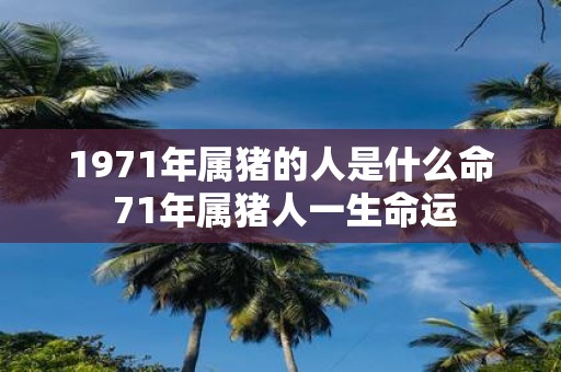 1971年属猪的人是什么命 71年属猪人一生命运