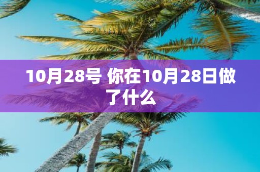 10月28号 你在10月28日做了什么