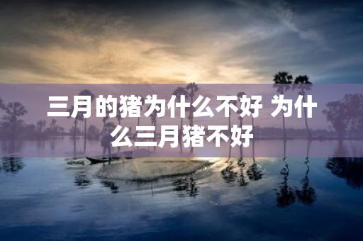 三月的猪为什么不好 为什么三月猪不好