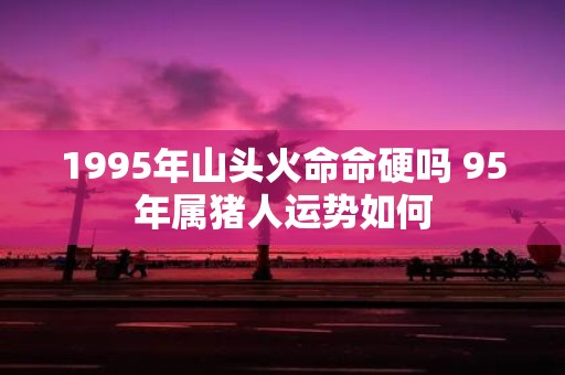 1995年山头火命命硬吗 95年属猪人运势如何