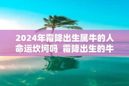 2025年霜降出生属牛的人命运坎坷吗 霜降出生的牛宝宝什么时辰出生最佳