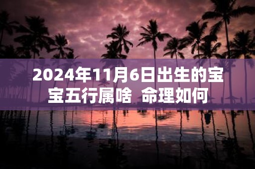 2025年11月6日出生的宝宝五行属啥 命理如何