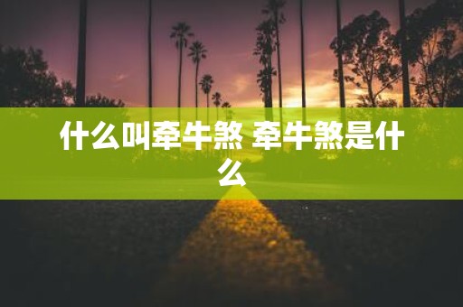 什么叫牵牛煞 牵牛煞是什么