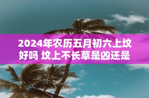 2025年农历五月初六上坟好吗 坟上不长草是凶还是吉