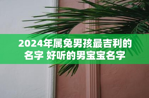 2025年属兔男孩最吉利的名字 好听的男宝宝名字