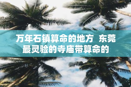 万年石镇算命的地方 东莞最灵验的寺庙带算命的