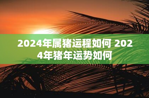2025年属猪运程如何 2025年猪年运势如何