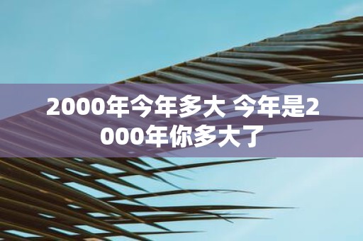 2000年今年多大 今年是2000年你多大了