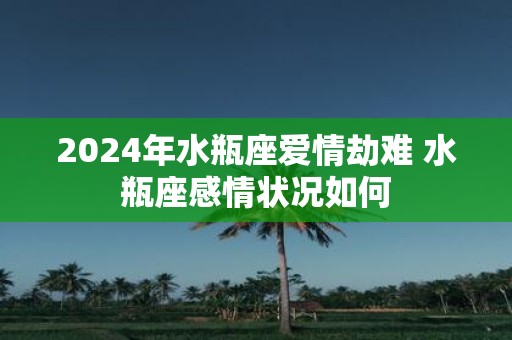 2025年水瓶座爱情劫难 水瓶座感情状况如何