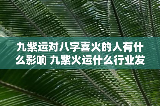 九紫运对八字喜火的人有什么影响 九紫火运什么行业发展好