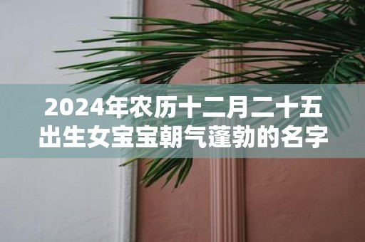 2025年农历十二月二十五出生女宝宝朝气蓬勃的名字赏析