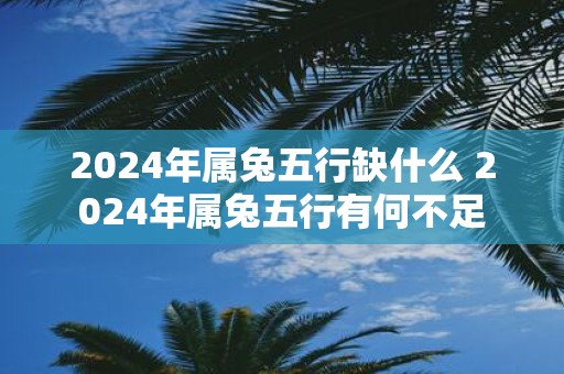 2025年属兔五行缺什么 2025年属兔五行有何不足