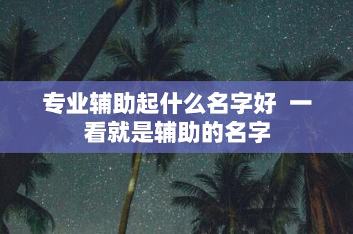 专业辅助起什么名字好 一看就是辅助的名字