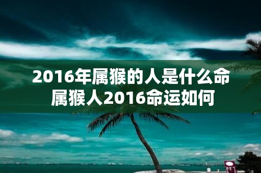 2016年属猴的人是什么命 属猴人2016命运如何