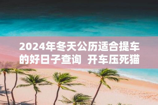 2025年冬天公历适合提车的好日子查询 开车压死猫风水预兆