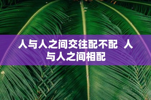 人与人之间交往配不配 人与人之间相配