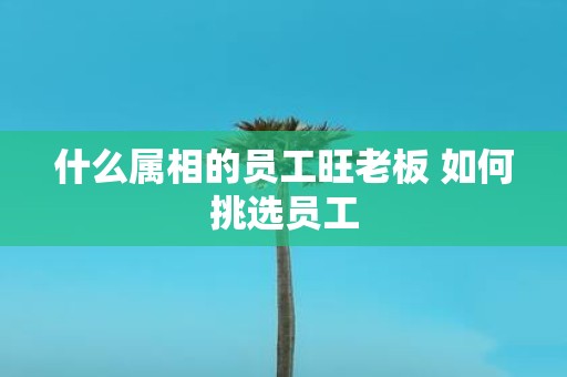 什么属相的员工旺老板 如何挑选员工