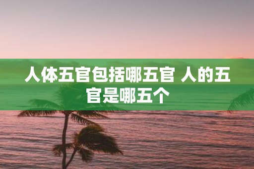 人体五官包括哪五官 人的五官是哪五个