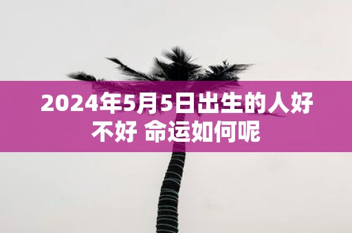 2025年5月5日出生的人好不好 命运如何呢