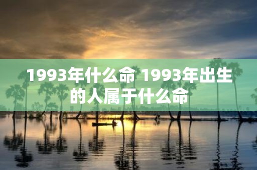 1993年什么命 1993年出生的人属于什么命
