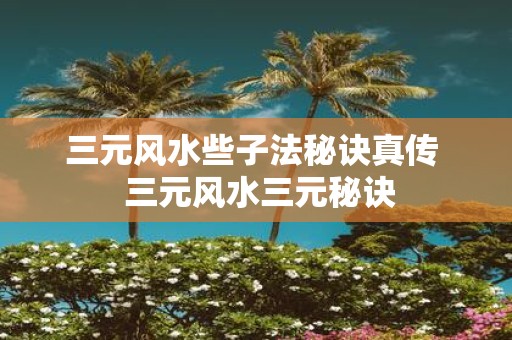 三元风水些子法秘诀真传 三元风水三元秘诀