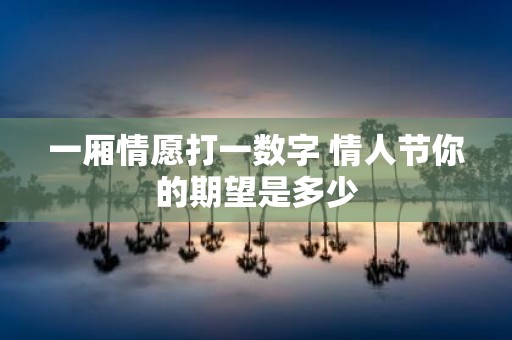 一厢情愿打一数字 情人节你的期望是多少