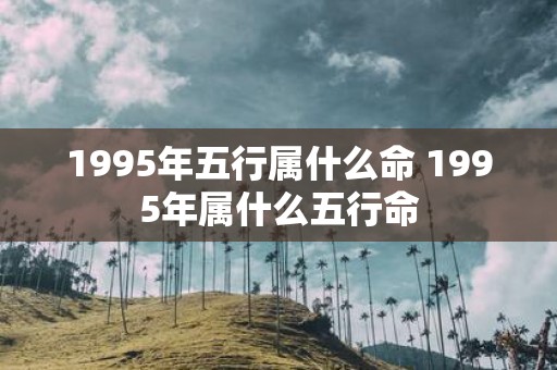 1995年五行属什么命 1995年属什么五行命