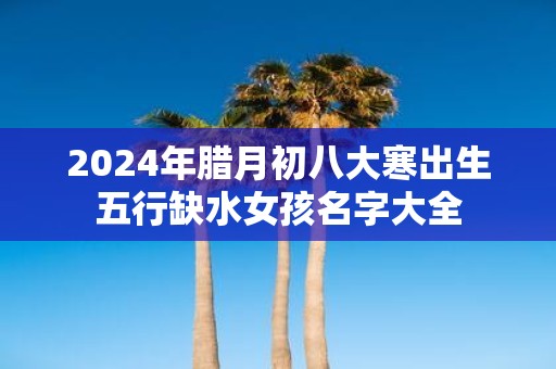 2025年腊月初八大寒出生五行缺水女孩名字大全