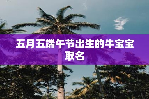五月五端午节出生的牛宝宝取名
