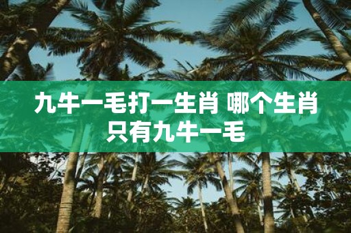 九牛一毛打一生肖 哪个生肖只有九牛一毛