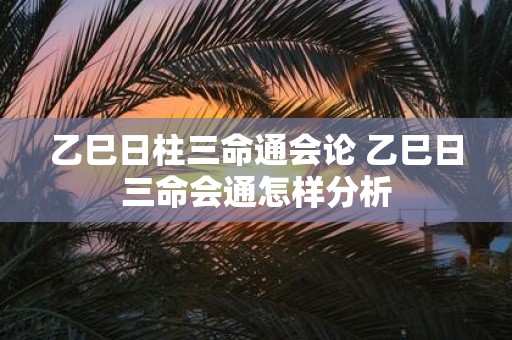 乙巳日柱三命通会论 乙巳日三命会通怎样分析