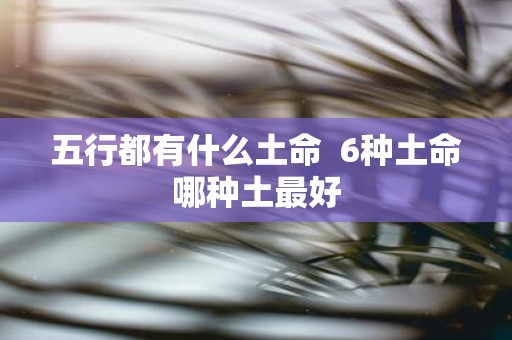 五行都有什么土命 6种土命哪种土最好