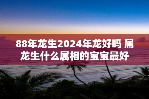 88年龙生2025年龙好吗 属龙生什么属相的宝宝最好