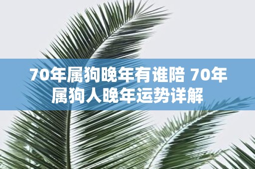 70年属狗晚年有谁陪 70年属狗人晚年运势详解
