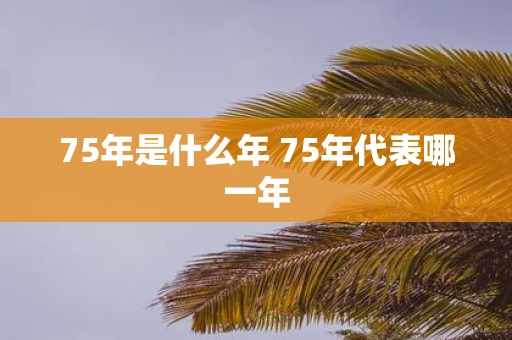 75年是什么年 75年代表哪一年