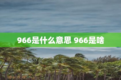 966是什么意思 966是啥