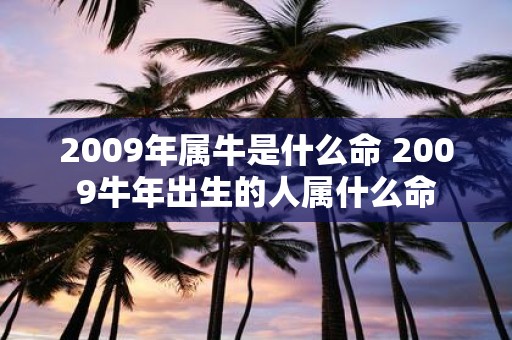 2009年属牛是什么命 2009牛年出生的人属什么命