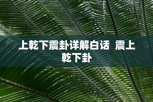 上乾下震卦详解白话 震上乾下卦