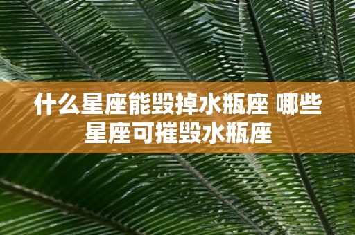 什么星座能毁掉水瓶座 哪些星座可摧毁水瓶座