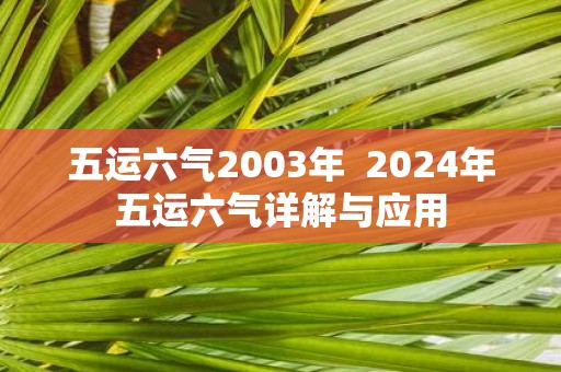 五运六气2003年 2025年五运六气详解与应用