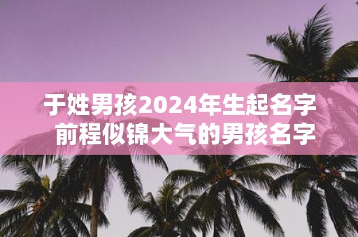 于姓男孩2025年生起名字 前程似锦大气的男孩名字