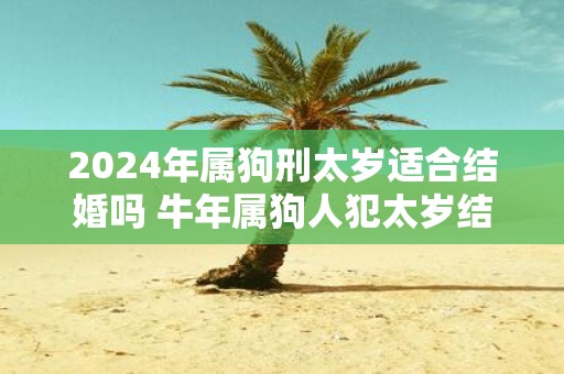 2025年属狗刑太岁适合结婚吗 牛年属狗人犯太岁结婚好不好